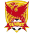 Dehong Team 队徽
